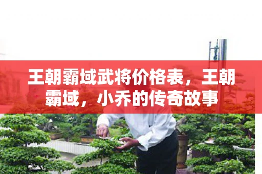 王朝霸域武将价格表,王朝霸域,小乔的传奇故事 王朝霸域武将价格表,王朝霸域,小乔的传奇故事