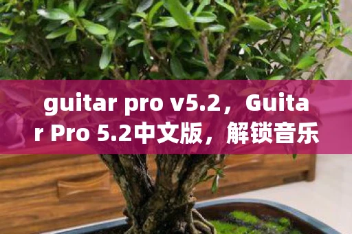 guitar pro v5.2，Guitar Pro 5.2中文版，解锁音乐创作的无限可能