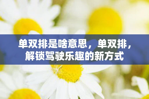 单双排是啥意思，单双排，解锁驾驶乐趣的新方式