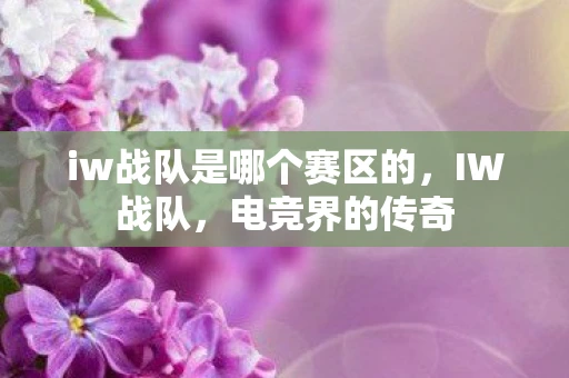 iw战队是哪个赛区的，IW战队，电竞界的传奇