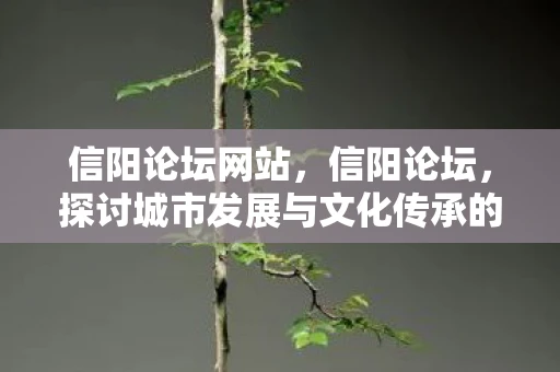 信阳论坛网站,信阳论坛,探讨城市发展与文化传承的多元视角 信阳论坛网站,信阳论坛,探讨城市发展与文化传承的多元视角