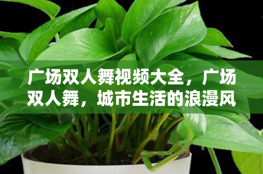 广场双人舞视频大全,广场双人舞,城市生活的浪漫风景线 广场双人舞视频大全,广场双人舞,城市生活的浪漫风景线