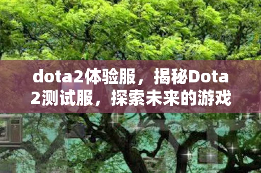 dota2体验服,揭秘Dota2测试服,探索未来的游戏变革 dota2体验服,揭秘Dota2测试服,探索未来的游戏变革
