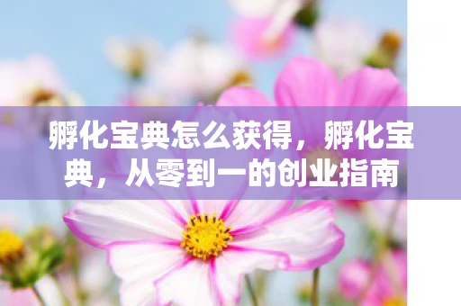 孵化宝典怎么获得，孵化宝典，从零到一的创业指南