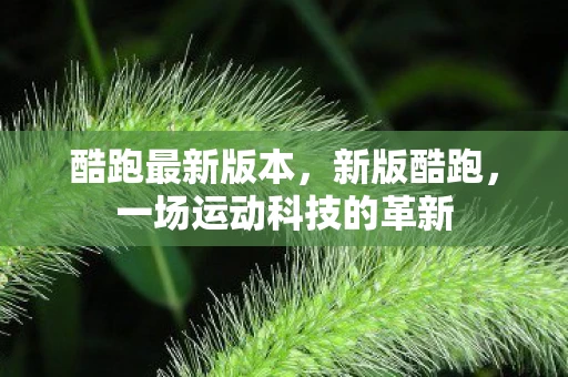 酷跑最新版本，新版酷跑，一场运动科技的革新