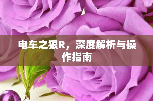 深度解析与操作指南图片