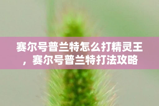 赛尔号普兰特怎么打精灵王，赛尔号普兰特打法攻略