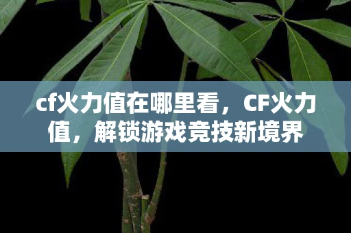 cf火力值在哪里看,CF火力值,解锁游戏竞技新境界 cf火力值在哪里看,CF火力值,解锁游戏竞技新境界
