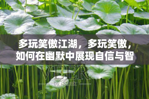 多玩笑傲江湖,多玩笑傲,如何在幽默中展现自信与智慧 多玩笑傲江湖,多玩笑傲,如何在幽默中展现自信与智慧