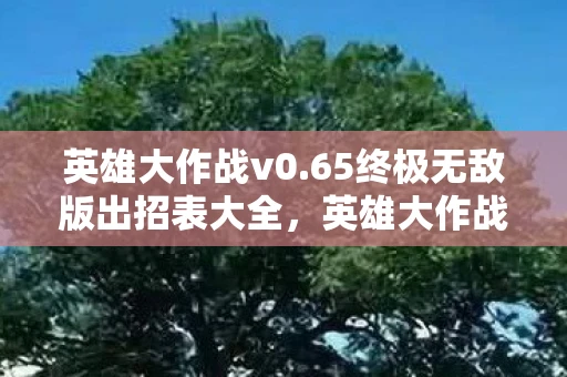 英雄大作战v0.65终极无敌版出招表大全,英雄大作战v0.65,重温经典,再战江湖 英雄大作战v0.65终极无敌版出招表大全,英雄大作战v0.65,重温经典,再战江湖