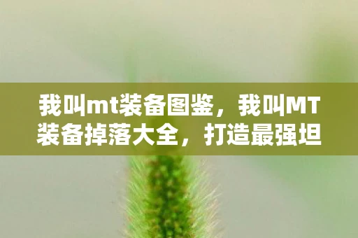 我叫mt装备图鉴,我叫MT装备掉落大全,打造最强坦克的必备指南 我叫mt装备图鉴,我叫MT装备掉落大全,打造最强坦克的必备指南