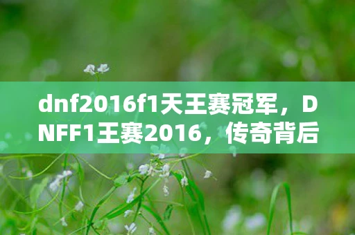 dnf2016f1天王赛冠军,DNFF1王赛2016,传奇背后的故事 dnf2016f1天王赛冠军,DNFF1王赛2016,传奇背后的故事