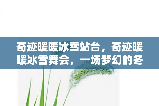 奇迹暖暖冰雪站台,奇迹暖暖冰雪舞会,一场梦幻的冬日盛宴 奇迹暖暖冰雪站台,奇迹暖暖冰雪舞会,一场梦幻的冬日盛宴