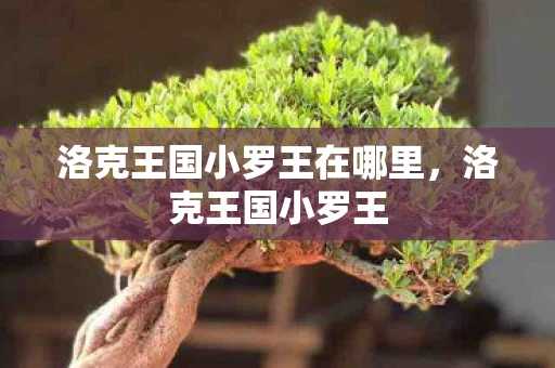 洛克王国小罗王在哪里，洛克王国小罗王