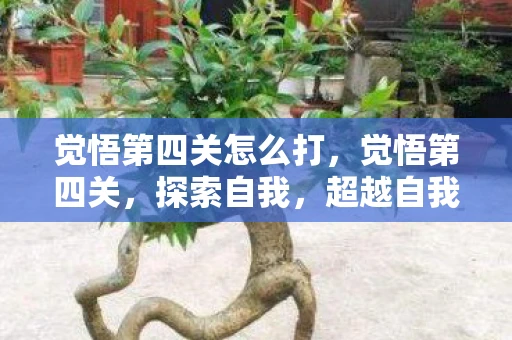 觉悟第四关怎么打,觉悟第四关,探索自我,超越自我 觉悟第四关怎么打,觉悟第四关,探索自我,超越自我