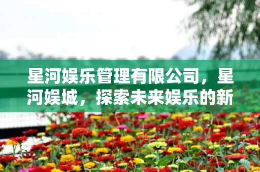 星河娱乐管理有限公司，星河娱城，探索未来娱乐的新边疆