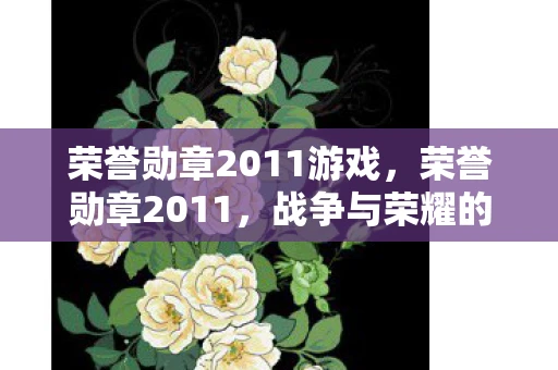 荣誉勋章2011游戏，荣誉勋章2011，战争与荣耀的交响曲