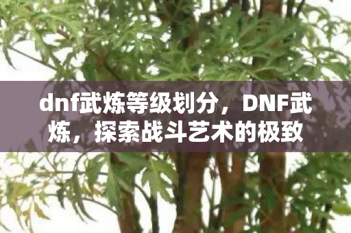dnf武炼等级划分，DNF武炼，探索战斗艺术的极致