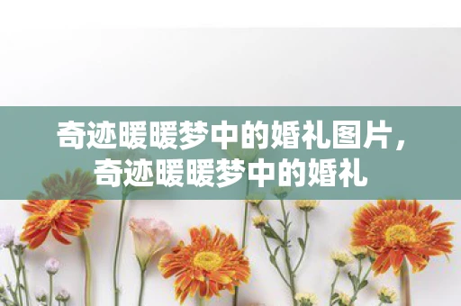 奇迹暖暖梦中的婚礼图片，奇迹暖暖梦中的婚礼