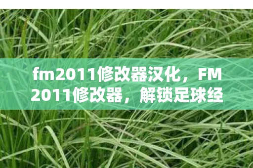 fm2011修改器汉化，FM2011修改器，解锁足球经理游戏的无限可能