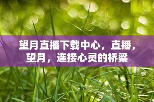 望月直播下载中心，直播，望月，连接心灵的桥梁