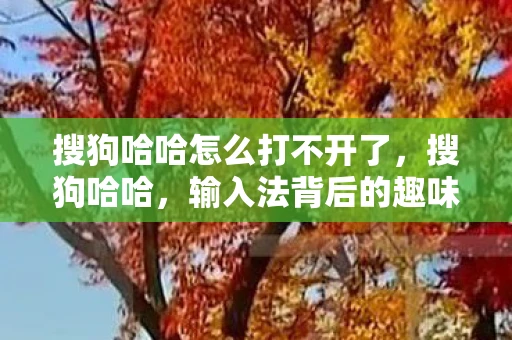 搜狗哈哈怎么打不开了，搜狗哈哈，输入法背后的趣味与智慧