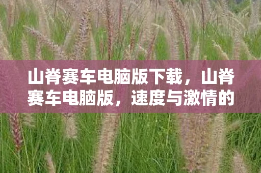 山脊赛车电脑版下载，山脊赛车电脑版，速度与激情的终极体验
