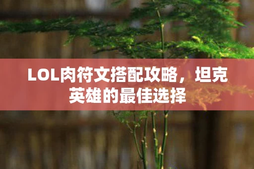LOL肉符文搭配攻略图片