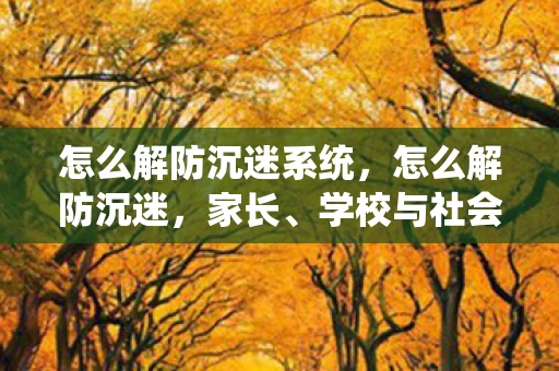 怎么解防沉迷系统，怎么解防沉迷，家长、学校与社会的共同努力