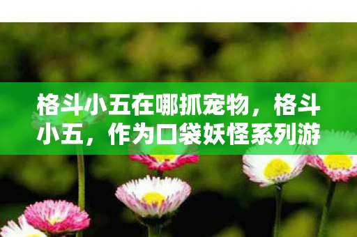 格斗小五在哪抓宠物，格斗小五，作为口袋妖怪系列游戏中的一种宝可梦，以其独特的外观和强大的格斗能力深受玩家喜爱。那么，在游戏的哪个版本和哪个地点可以抓到格斗小五呢？本文将为您详细解答