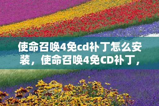 使命召唤4免cd补丁怎么安装，使命召唤4免CD补丁，解锁游戏乐趣的必备工具