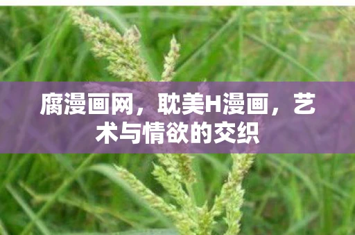 腐漫画网，耽美H漫画，艺术与情欲的交织