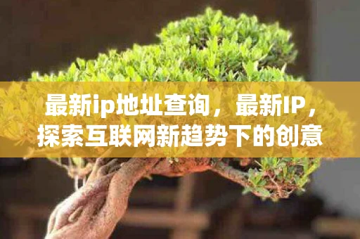 最新ip地址查询，最新IP，探索互联网新趋势下的创意与机遇