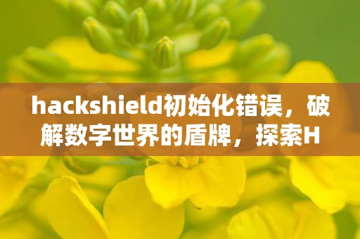 hackshield初始化错误，破解数字世界的盾牌，探索HackShield的奥秘