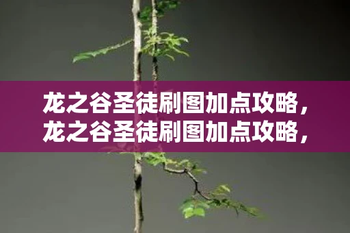 龙之谷圣徒刷图加点攻略，龙之谷圣徒刷图加点攻略，打造高效战斗力的关键