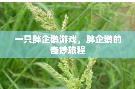 一只胖企鹅游戏，胖企鹅的奇妙旅程