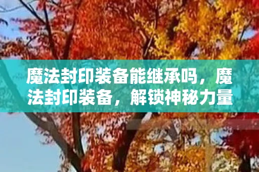 魔法封印装备能继承吗，魔法封印装备，解锁神秘力量的钥匙