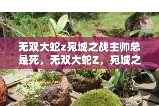 无双大蛇z宛城之战主帅总是死，无双大蛇Z，宛城之战的震撼与策略