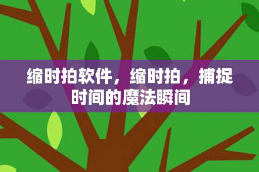 缩时拍软件，缩时拍，捕捉时间的魔法瞬间
