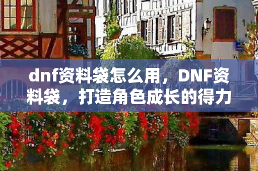 dnf资料袋怎么用，DNF资料袋，打造角色成长的得力助手