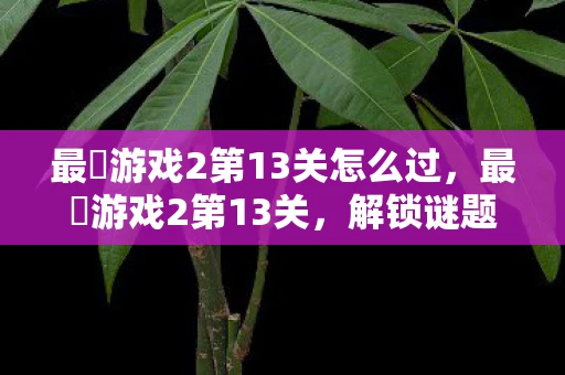最囧游戏2第13关怎么过，最囧游戏2第13关，解锁谜题，挑战智慧极限