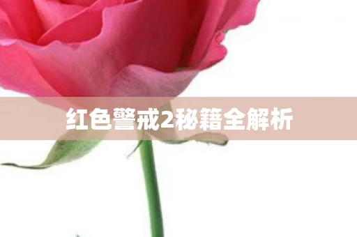 红色警戒2秘籍全解析图片