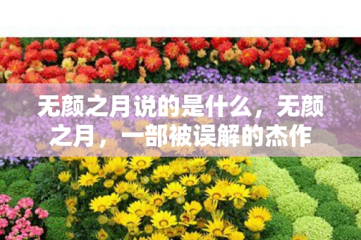 无颜之月说的是什么，无颜之月，一部被误解的杰作
