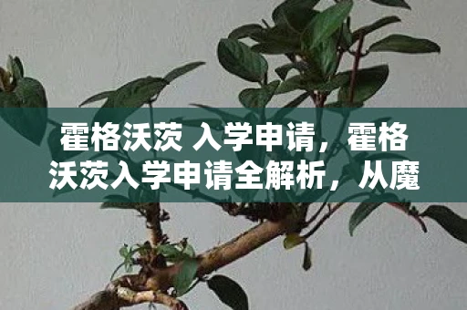 霍格沃茨 入学申请，霍格沃茨入学申请全解析，从魔法世界启程的邀请函