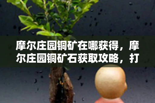 摩尔庄园铜矿在哪获得，摩尔庄园铜矿石获取攻略，打造你的专属宝藏
