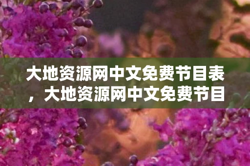 大地资源网中文免费节目表，大地资源网中文免费节目，探索自然与文化的深度之旅