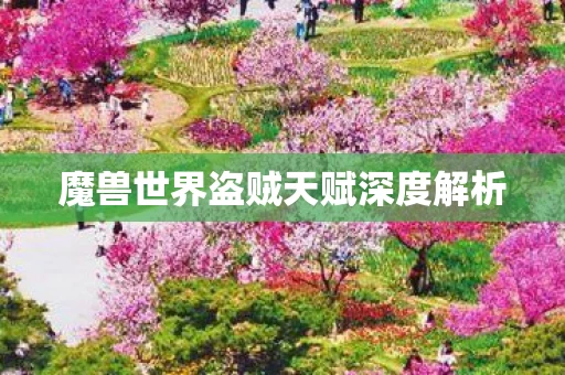魔兽世界盗贼天赋深度解析图片