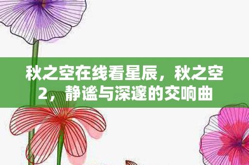 秋之空在线看星辰，秋之空2，静谧与深邃的交响曲