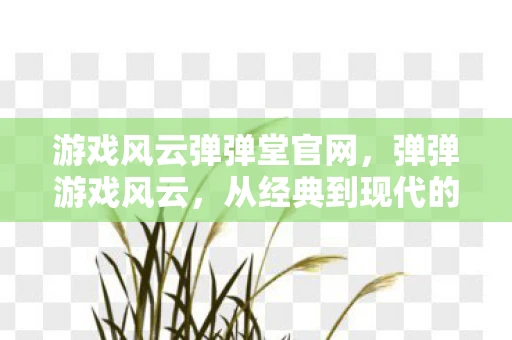 游戏风云弹弹堂官网，弹弹游戏风云，从经典到现代的演变与影响