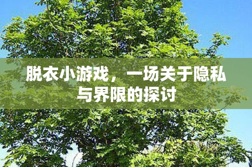 脱衣小游戏，一场关于隐私与界限的探讨